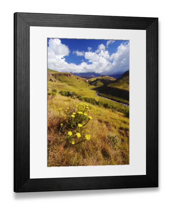 Framed Print : Scenic View of the Bushmans River Valley