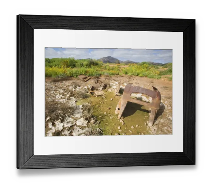 Framed Print : Rusted Remains of an Old Car