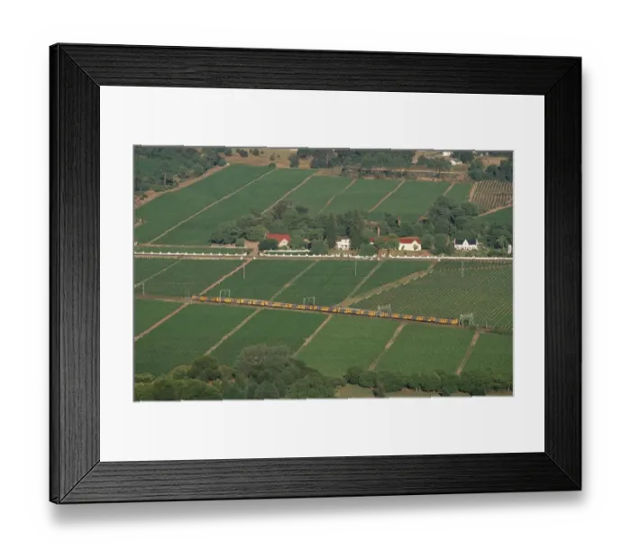 Framed Print : Train Traveling Through Vineyard Landscape - Aerial View Framed Print : Train Traveling Through Vineyard Landscape - Aerial View