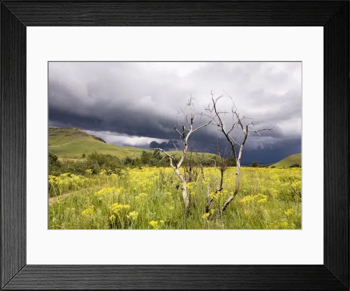 Framed Print : A Thunderstorm Brewing in the Drakensberg Mountains Framed Print : A Thunderstorm Brewing in the Drakensberg Mountains