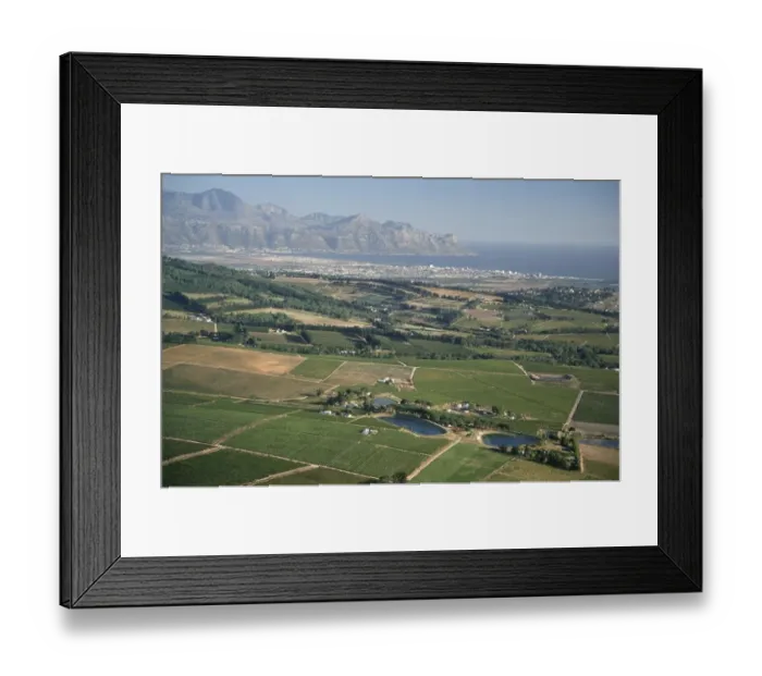 Framed Print : Aerial View of Coastal Vineyards Framed Print : Aerial View of Coastal Vineyards