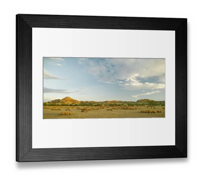 Framed Print : Cacti Plain, Blue Skies with Cloud Framed Print : Cacti Plain, Blue Skies with Cloud
