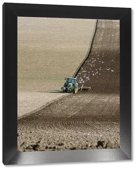 Farmer Ploughing His Spring Crops