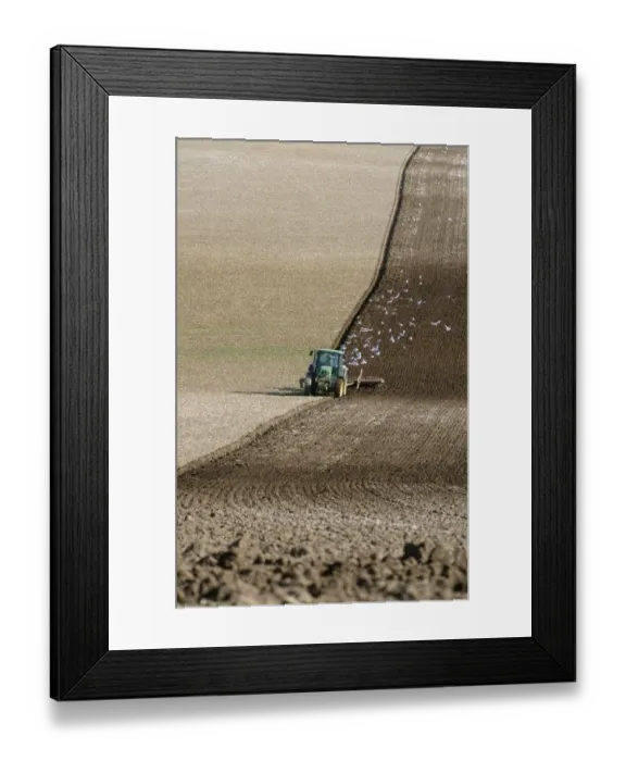 Framed Print : Farmer Ploughing His Spring Crops Framed Print : Farmer Ploughing His Spring Crops
