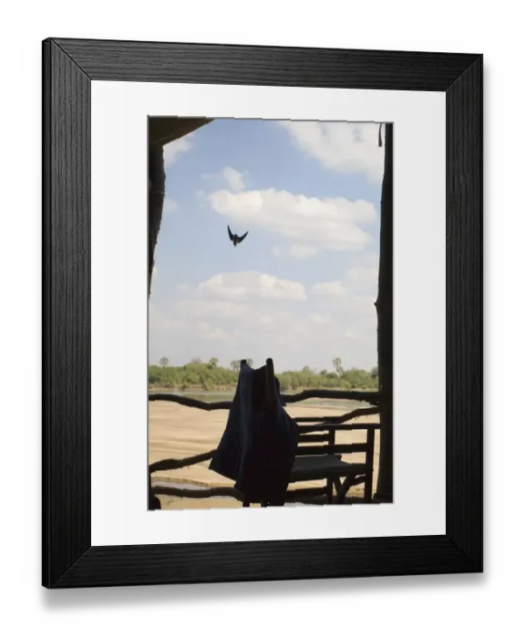 Framed Print : View of the Luangwa Riverbed from Lodge Accommodation Framed Print : View of the Luangwa Riverbed from Lodge Accommodation