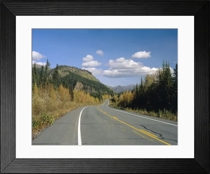 Framed Print : Pine Forests Along a Mountain Road