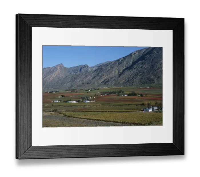 Framed Print : Scenic View of Vineyards Against the Slopes of the Mountains Framed Print : Scenic View of Vineyards Against the Slopes of the Mountains