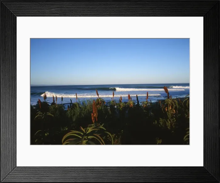 Framed Print : Scenic View of the Ocean with Waves Breaking on Beach