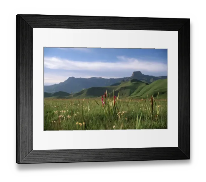 Framed Print : Scenic View of Sentinel and Amphitheatre Framed Print : Scenic View of Sentinel and Amphitheatre