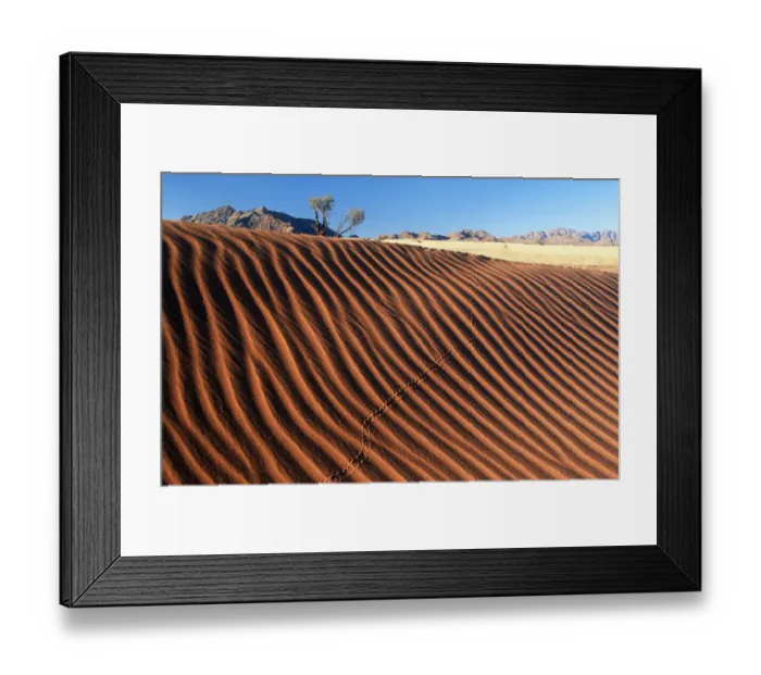 Framed Print : Rippled Dune Scenic