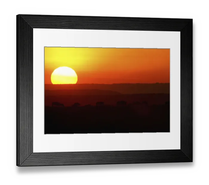 Framed Print : Scenic View of a Sunset over the Bushveld
