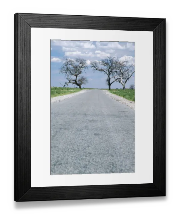 Framed Print : Tar Road Running Between Two Trees Framed Print : Tar Road Running Between Two Trees