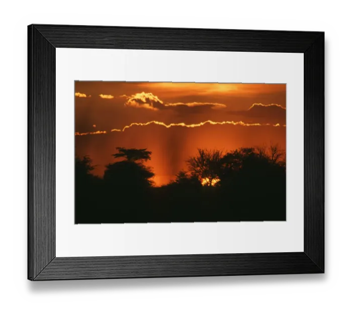 Framed Print : Scenic View of Silhouetted Trees at Sunset Framed Print : Scenic View of Silhouetted Trees at Sunset