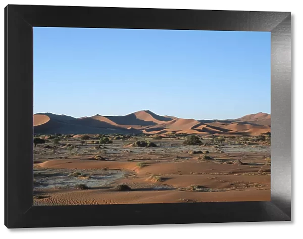 Scenic View of Desert Dunes