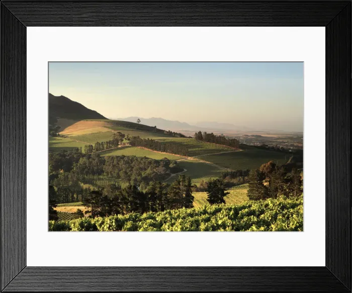 Framed Print : Crop, Cultivated, Dusk, Evening, Field, Hill, Mountain, Rural Scene, Sky, Stellenbosch