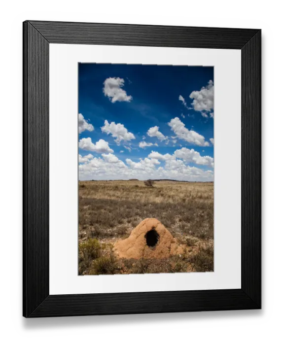 Framed Print : The dry and arid landscape in the Northern Cape is covered in anthills which have Framed Print : The dry and arid landscape in the Northern Cape is covered in anthills which have