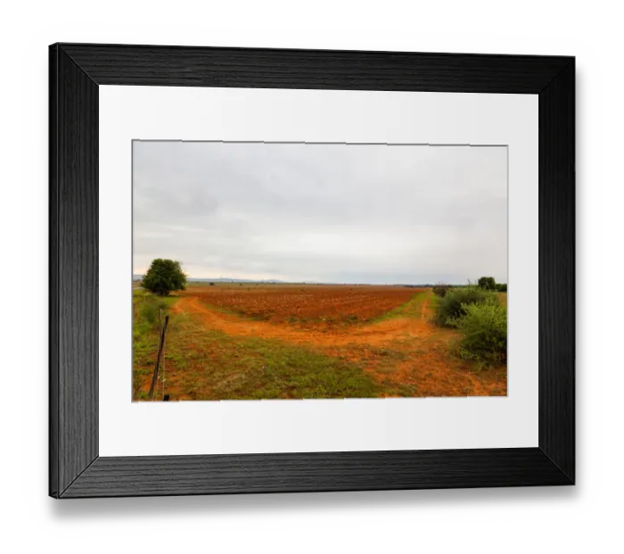 Framed Print : The flat landscape and very red soil farmlands of the Free state, very near to Parys Framed Print : The flat landscape and very red soil farmlands of the Free state, very near to Parys
