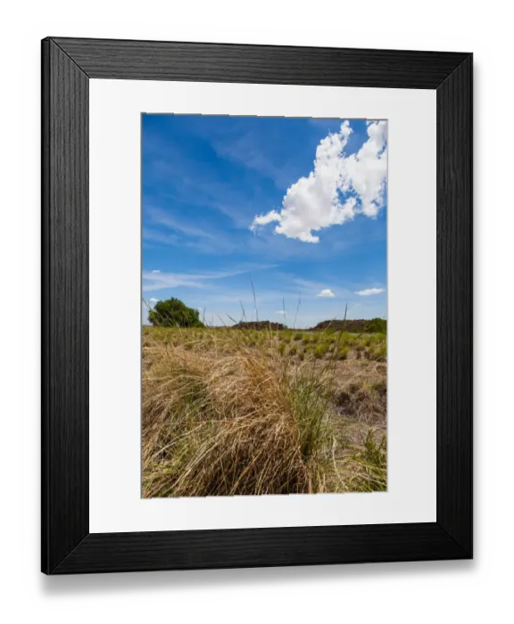 Framed Print : The dry and arid landscape in the Northern Cape, not far from Kimberly, South Africa Framed Print : The dry and arid landscape in the Northern Cape, not far from Kimberly, South Africa