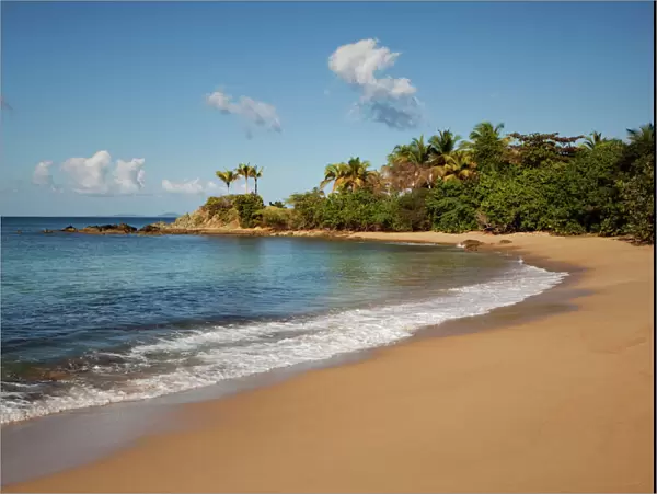 Tranquil beach landscape, Vieques, Puerto Rico, Caribbean