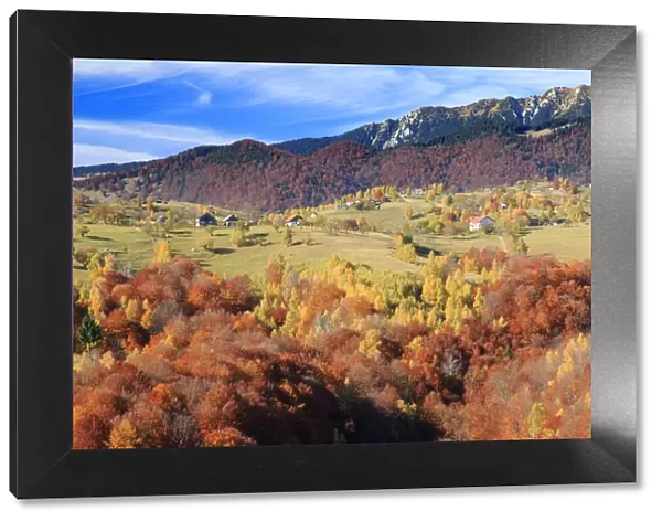 Autumn landscape of hills and mountain range in background, Piatra Craiului National Park, Magura, Carpathian Mountains, Brasov, Brasov County, Transylvania, Romania