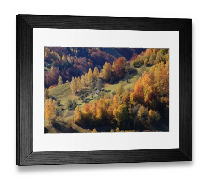 Framed Print : Autumn landscape of hills and trees, Piatra Craiului National Park, Magura, Carpathian Mountains, Brasov, Brasov County, Transylvania, Romania Framed Print : Autumn landscape of hills and trees, Piatra Craiului National Park, Magura, Carpathian Mountains, Brasov, Brasov County, Transylvania, Romania