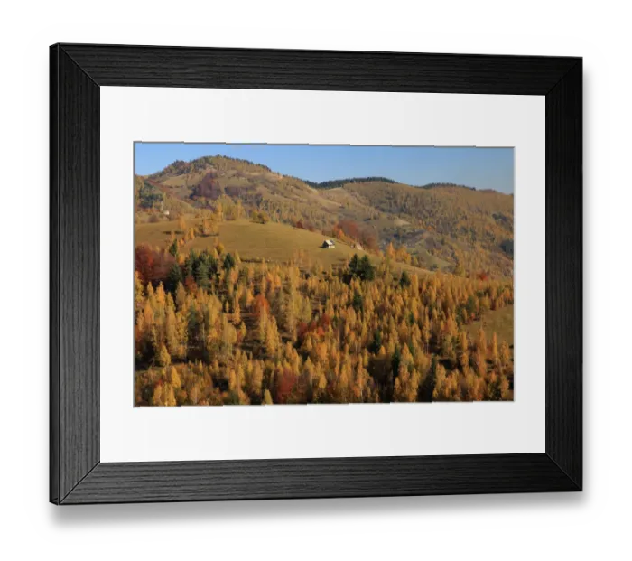 Framed Print : Autumn landscape of hills and mountain range in background, Piatra Craiului National Park, Magura, Carpathian Mountains, Brasov, Brasov County, Transylvania, Romania Framed Print : Autumn landscape of hills and mountain range in background, Piatra Craiului National Park, Magura, Carpathian Mountains, Brasov, Brasov County, Transylvania, Romania