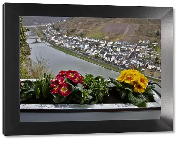 View from Reichsburg Castle to Moselle River and town, Cochem, Rhineland-Palatinate, Germany