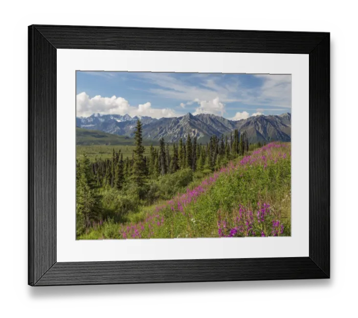 Framed Print : Landscape with Chugach Mountains, Alaska, USA Framed Print : Landscape with Chugach Mountains, Alaska, USA