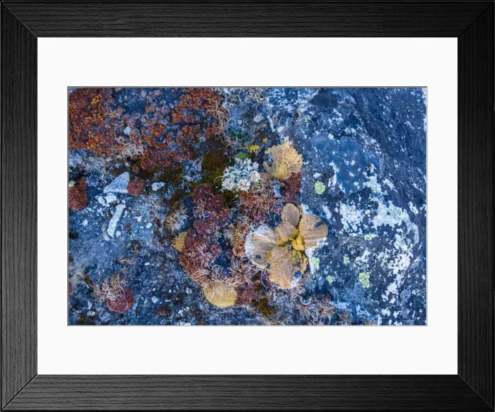 Framed Print : Everest base camp trek, Gorak Shep, Himalayas, Nepal, Colour Image, Color Image, Photography Framed Print : Everest base camp trek, Gorak Shep, Himalayas, Nepal, Colour Image, Color Image, Photography
