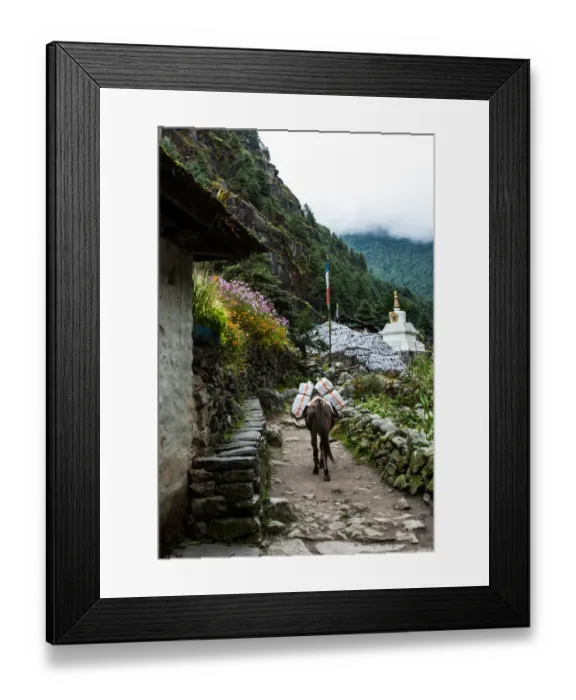 Framed Print : Everest base camp trek, Himalayas, Nepal, Sagarmatha National Park, Colour Image Framed Print : Everest base camp trek, Himalayas, Nepal, Sagarmatha National Park, Colour Image