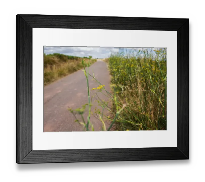 Framed Print : Camino de Santiago, Cities, Countries, La Rioja, Regions, Spain, Colour Image, Color Image Framed Print : Camino de Santiago, Cities, Countries, La Rioja, Regions, Spain, Colour Image, Color Image