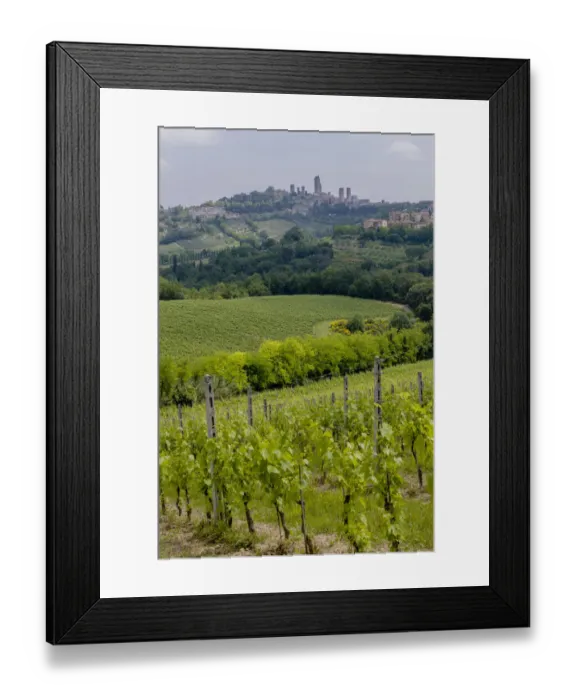 Framed Print : Vineyards, Rolling hills landscape, San Gimignano Skyline, Tuscany, Italy Framed Print : Vineyards, Rolling hills landscape, San Gimignano Skyline, Tuscany, Italy