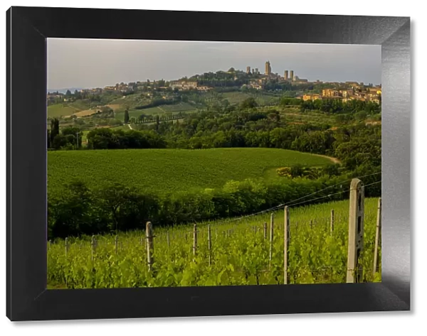 Rolling hills landscape, San Gimignano Skyline, Tuscany, Italy
