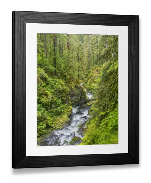Framed Print : Landscape with Sol Duc River, Olympic National Park, Washington State, USA Framed Print : Landscape with Sol Duc River, Olympic National Park, Washington State, USA
