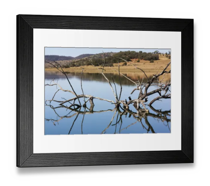 Framed Print : Animal Themes, Beauty In Nature, Color Image, Colour Image, Copy Space, Cormorant Framed Print : Animal Themes, Beauty In Nature, Color Image, Colour Image, Copy Space, Cormorant
