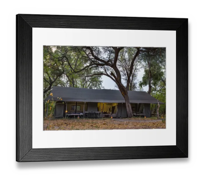 Framed Print : View into luxury family tent, Machaba Camp, Okavango Delta, Botswana Framed Print : View into luxury family tent, Machaba Camp, Okavango Delta, Botswana