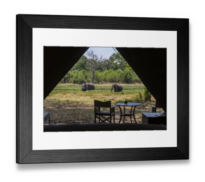 Framed Print : View from inside luxury tent onto the river bank with elephants grazing, Machaba Camp, Okavango Delta, Botswana Framed Print : View from inside luxury tent onto the river bank with elephants grazing, Machaba Camp, Okavango Delta, Botswana