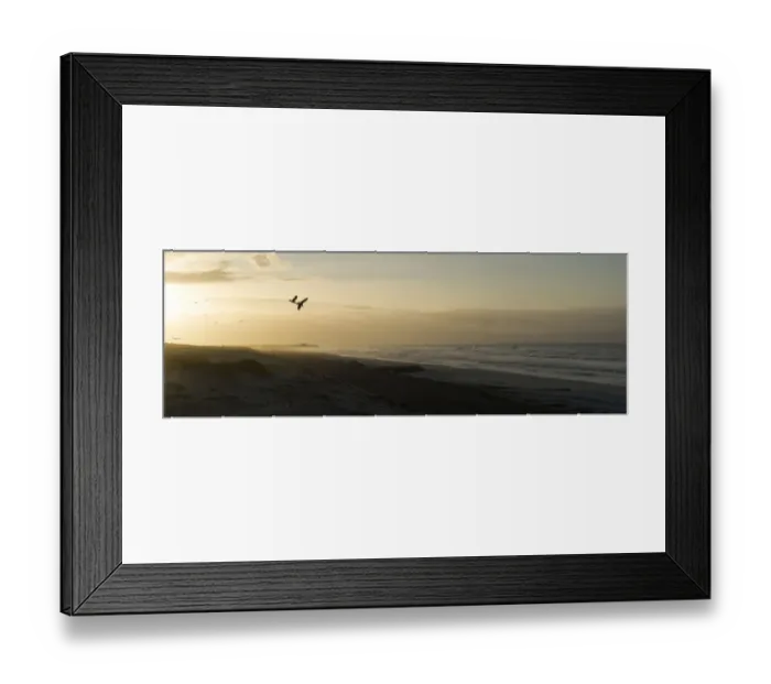 Framed Print : Colour image, Color image, Photography, Horizontal, No people, Seagull, Seagulls Framed Print : Colour image, Color image, Photography, Horizontal, No people, Seagull, Seagulls