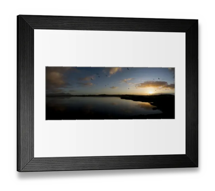 Framed Print : Colour image, Color image, Photography, Horizontal, No people, Seagull, Seagulls Framed Print : Colour image, Color image, Photography, Horizontal, No people, Seagull, Seagulls