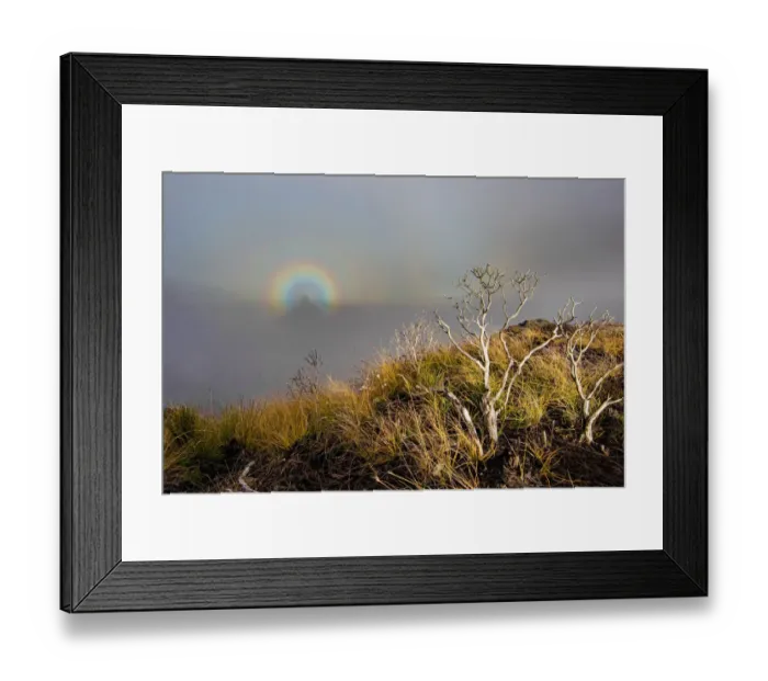 Framed Print : Amphitheater rainbow, Royal Natal National Park, KwaZulu-Natal, South Africa Framed Print : Amphitheater rainbow, Royal Natal National Park, KwaZulu-Natal, South Africa