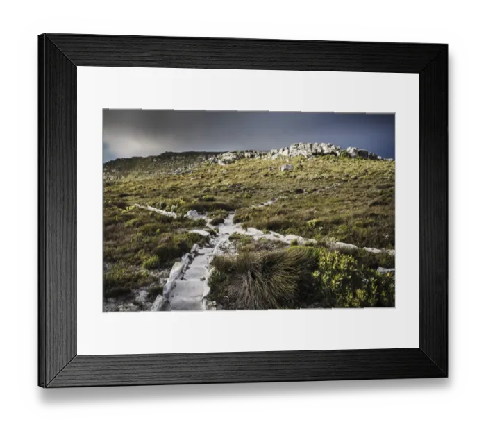 Framed Print : cape town, color image, colour image, day, daytime, field, grass, horizontal, landscape Framed Print : cape town, color image, colour image, day, daytime, field, grass, horizontal, landscape