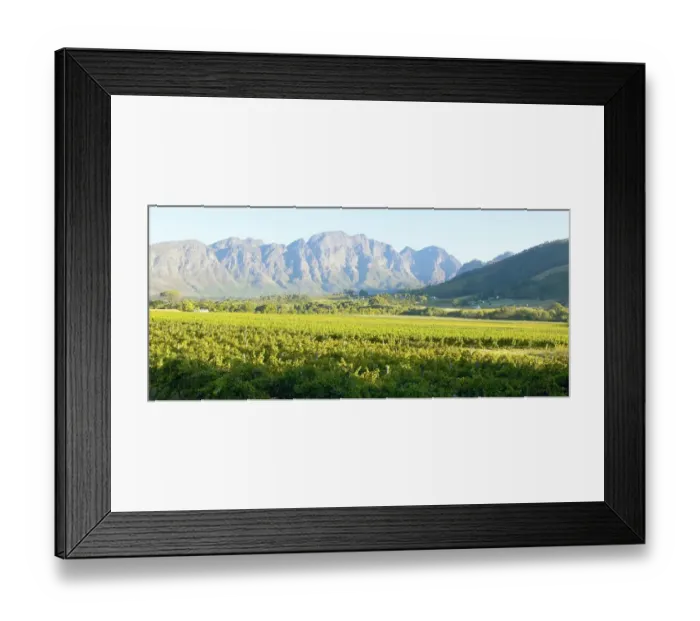Framed Print : Vineyard and Mountain Landscape Scene Framed Print : Vineyard and Mountain Landscape Scene