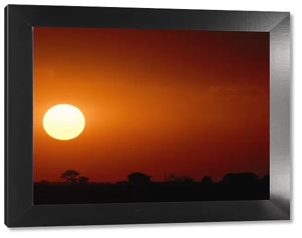 Silhouette of an African Landscape Under a Dramatic Sunset