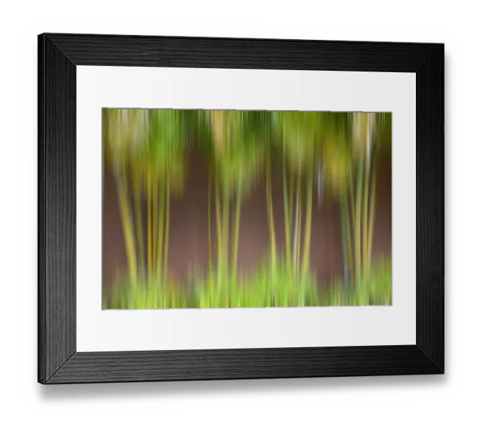 Framed Print : Palm plants planted along wall, Maui, Hawaii, USA Framed Print : Palm plants planted along wall, Maui, Hawaii, USA