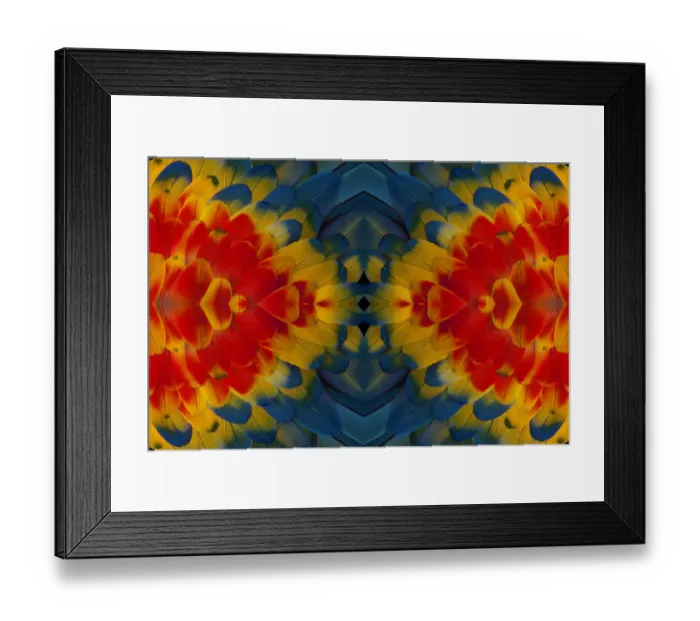 Framed Print : Extreme close-up of shoulder coverts feathers of Scarlet Macaw (Ara macao)