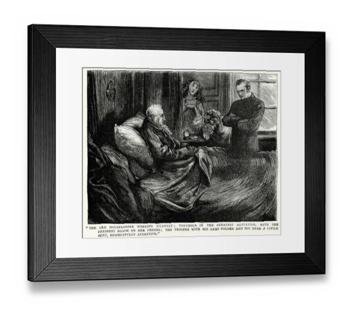 Framed Print : Bleak House