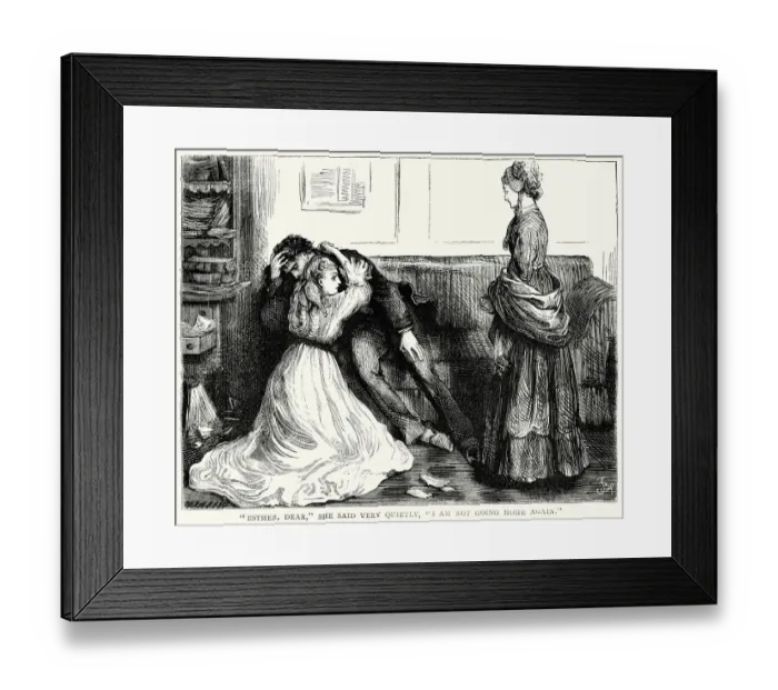 Framed Print : Bleak House by Charles Dickens Framed Print : Bleak House by Charles Dickens