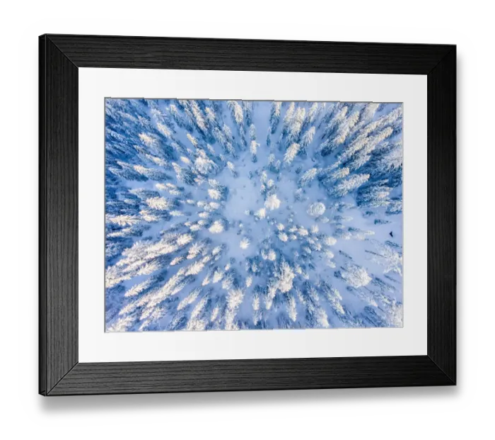 Framed Print : Tree tops seen from above in the winter