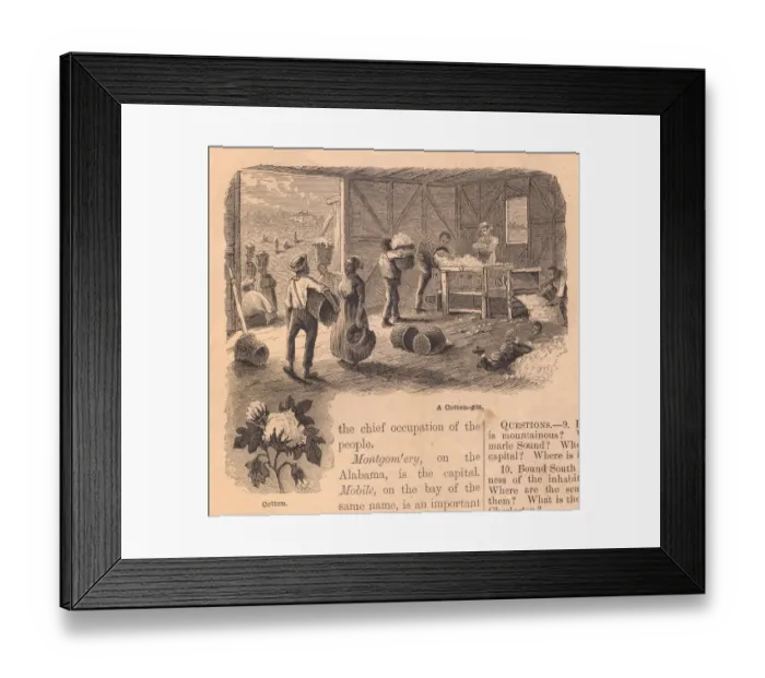 Framed Print : Old, Black and White Illustration of Cotton Gin, From 1800 s Framed Print : Old, Black and White Illustration of Cotton Gin, From 1800 s
