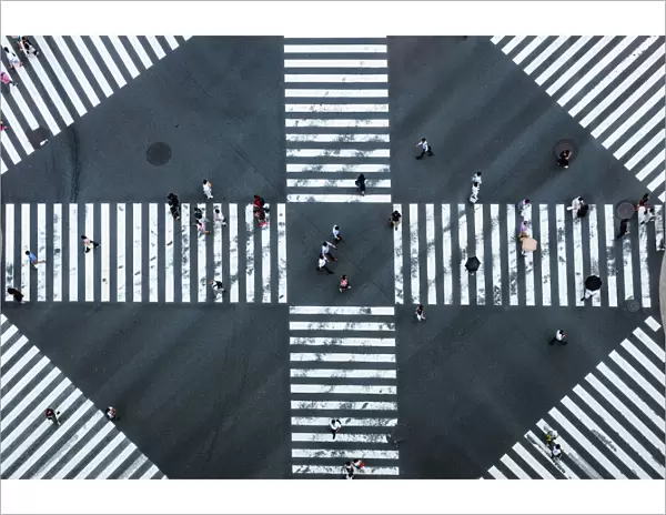 Aerial view of pedestrian crossing, Tokyo, Japan